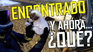 RESCATAMOS a un PERRITO de una muerte segura😮