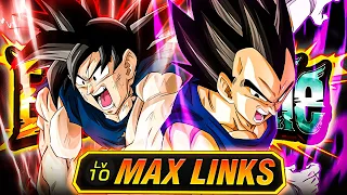 EZA INT VEGETA & STR GOKU LEVEL 10 LINKS 100% RAINBOW SHOWCASE (Dokkan Battle)