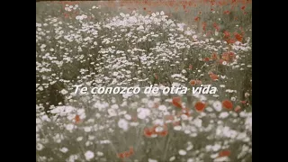 Gustavo Cerati - Te Llevo para Que Me Lleves [Lyric Video]