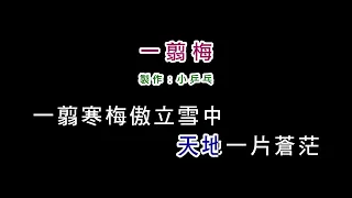 (更新 伴奏版)費玉清-一翦梅(DIY卡拉OK字幕)