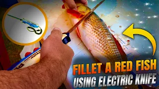 HOW TO Fillet/Clean a Redfish using an Electric Knife. | #Redfish | #Gulfcoast