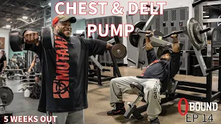 CHEST & DELT PUMP!! 5 WEEKS OUT