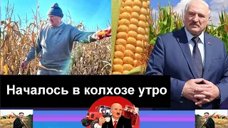 Сатиричні раш-новини №366  -  Началось в колхозе утро