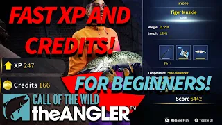 Call of The Wild: The Angler TIGER MUSKIE AND PIKE HOTSPOT! | FAST XP AND CREDITS for BEGINNERS!