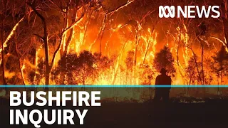 Black Summer bushfire victims say inquiry has been 'sprung' on them | ABC News