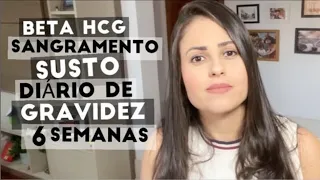 DIÁRIO 6 SEMANAS - BETA HCG, SANGRAMENTO, SUSTO, CONVERSA COM MÉDICA