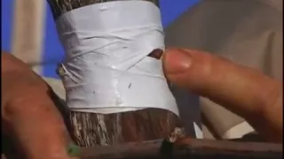 Bud Grafting in a Vineyard