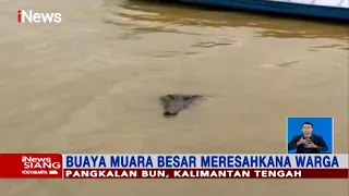 Buaya Muara Besar Meresahkan, Warga Tak Berani Turun Sungai karena Takut Dimangsa #iNewsSiang 30/08