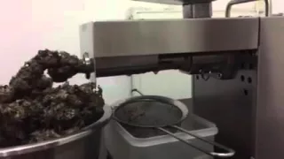 hemp seed oil press machine