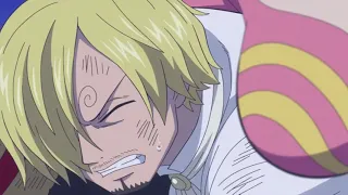 Reiju Farewell for Sanji-Episode873