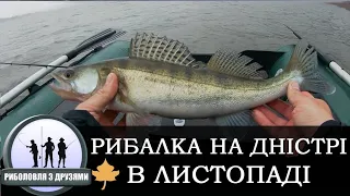 Рибалка на Дністрі, осінь, Чернівецька обл, Берново.
