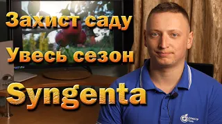 Схема захисту від Сингенти для саду на увесь сезон. Обробки яблуні, груші, черешні, персика, сливи