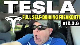Tesla Full Self-Driving Freaks Out On L.A. Freeway