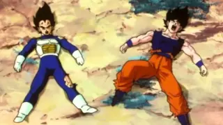 TFS - Vegeta and Goku get hit in the D***!