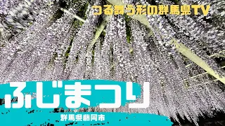 【群馬の見どころ】群馬県／藤岡市／藤／ふじまつり／ライトアップ／観光スポット／こばT