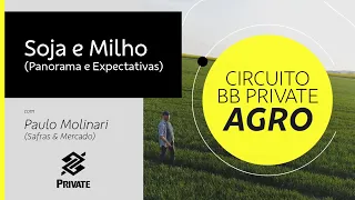 Soja e Milho - Panorama e Expectativas - Circuito BB Private Agro | BB