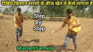Mustard farming In India Full Processing | सरसों के बीज कैसे लगाते हैं पूरी जानकारी के साथ देखिये
