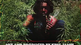 KING JAMES SOUNDS ROOTS BEST OF PETER TOSH MIX 360p