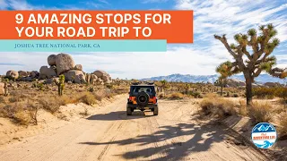 9 Amazing Stops for Your Road Trip to Joshua Tree National Park