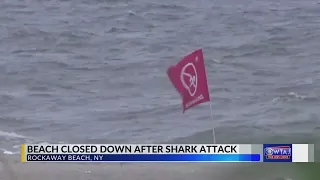 Woman seriously injured after probable shark attack in New York City, officials say