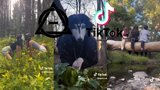 Therian and Quadrobics TikToks || Compilation 🐾🪱🪲|| Alterhumans of TikTok #86