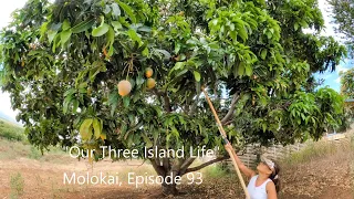 Life on Molokai, Episode 93