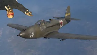 "The Russian Kingcobra" P-63A-5 | WT Controller