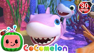 Baby Shark Hide & Seek! | CoComelon Animal Time | Animal Nursery Rhymes