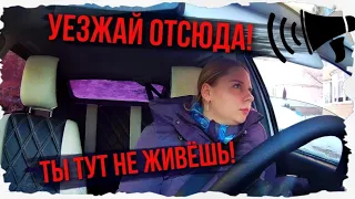 ТОП ОЛЕНЕЙ НА ДОРОГЕ!