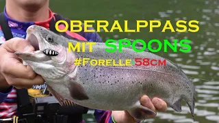 Oberalppass See Schweiz grosse  Forelle 58cm auf Spoon