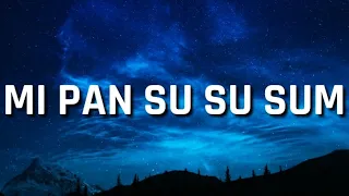 Mi pan su su sum cancion (letra) Lyrics [TikTok Song]