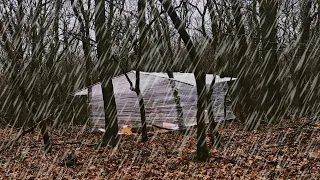 Building a Woodland Cabin with Plastic Wrap • BUSHCRAFT SHELTER • Camping in Heavy Rain • ASMR