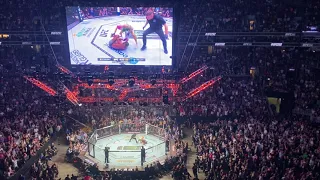 "Sugar" Sean O'Malley UFC 292 Round 2 Crowd Reaction #shorts