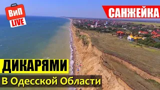 Санжейка | Украина, Одесская область, пляж, отдых дикарями, цены на жилье, съемка с дрона, обзор