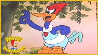 Woody Woodpecker | Pantry Panic (1941) *Remastered* | BFI Screening | Woody Woodpecker Full Episodes