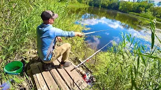 Знайшов в лісі ЗАБРОШЕНУ КЛАДКУ! КАРАСЬ ІДЕ ТАБУНОМ!!!