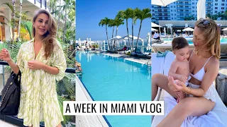 VLOG | Miami Apartment Tour, Grocery Haul & Vacation Time | Annie Jaffrey