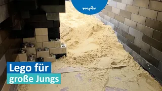 XXL Steckbausteine aus Naturmaterialien erobern Festung Königstein | MDR um 4 | MDR