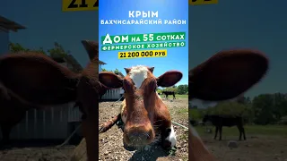 Дом в Крыму на участке 55 соток, село Айвовое, 21 200 000 руб. Обзор фермерского хозяйства.