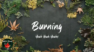 Yeah Yeah Yeahs - Burning (Lyric video)