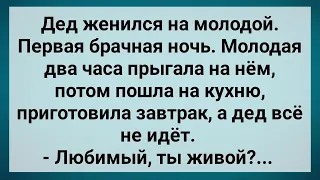 Дед Женился на Молодой! Первая Брачная Ночь! Сборник Свежих Анекдотов! Юмор!