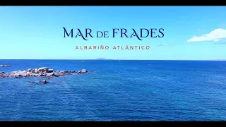 ПОСЕЩЕНИЕ ИСПАНСКОЙ ВИНОДЕЛЬНИ MAR DE FRADES - ЛУЧШИЙ АЛЬБАРИНЬО. ВИННЫЙ ТУРИЗМ.