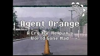 Agent Orange - A Cry for Help in a World Gone Mad (Karaoke)