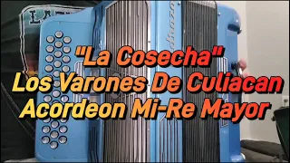 La Cosecha-Los Varones De Culiacan-Acordeon Mi-Re Mayor
