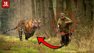10 Cases of Animals That Took Revenge on Humans