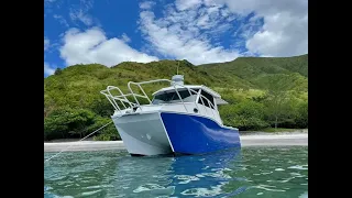 Gospel Boat- Nemo Peng- 8.8m Catamaran Aluminum fishing boat