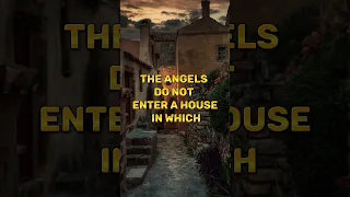 Angels do not enter a house #shorts #islam #youtubeshorts