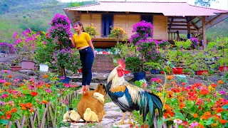 Building a life off the grid - episode 99 | I built a farm full of colors, pets, chickens, dogs