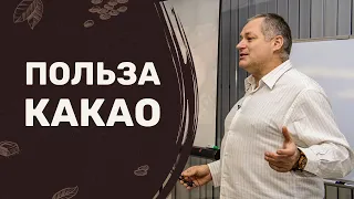 Польза какао. Семинар "КАКАО - ПИЩА БОГОВ" | First Old Cocoа