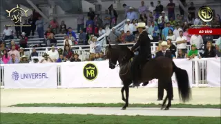 Gran Campeonato Mundial Caballos De Paso Fino, XII Mundial 2015